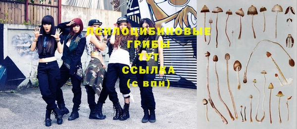 гашиш Переславль-Залесский