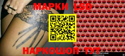 PSILOCYBIN Берёзовский