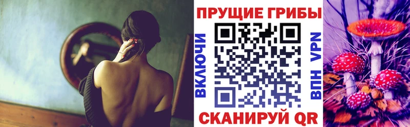 наркота  Большой Камень  Псилоцибиновые грибы Psilocybe 