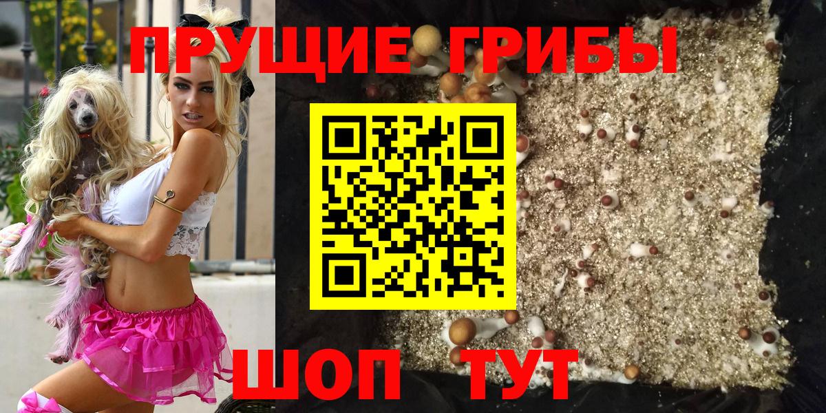 Большой Камень  Галлюциногенные грибы Cubensis  Вход с VPN 